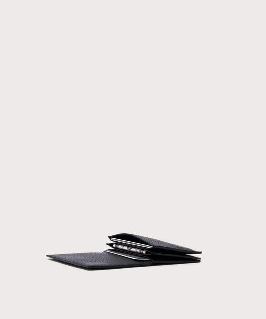 Accordion Card Case in Onyx