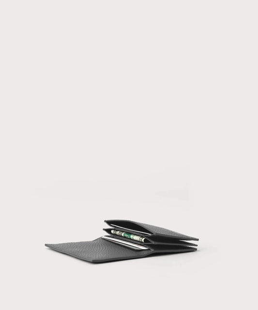 Accordion Card Case in Graphite
